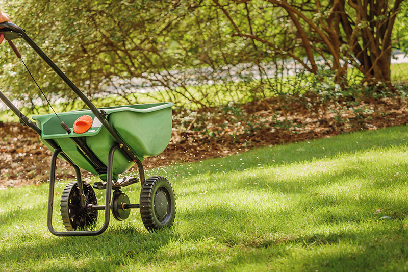 High-quality Hallsville fertilization services in TX near 75650