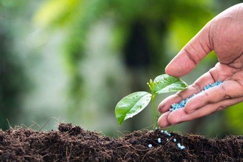 High-quality Marshall fertilization services in WA near 75670