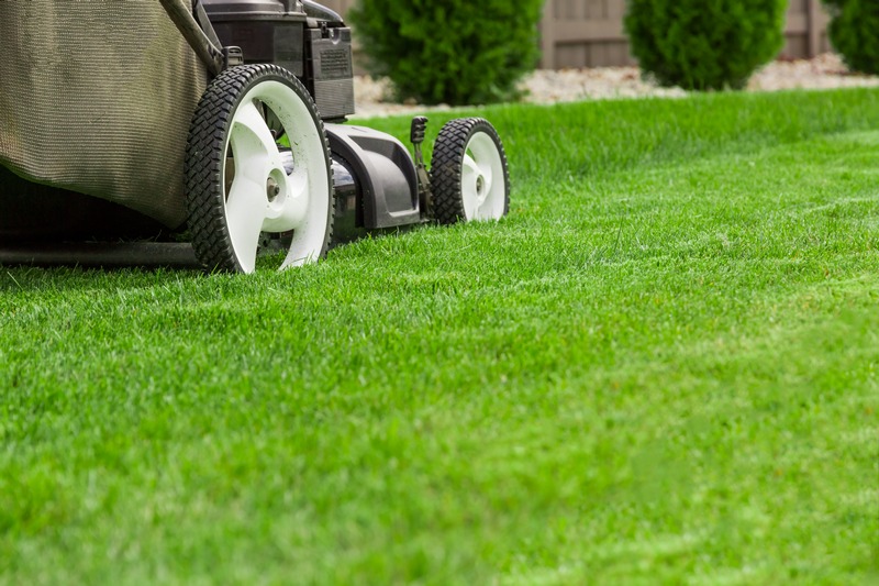 Affordable Hallsville lawn care in TX near 75650