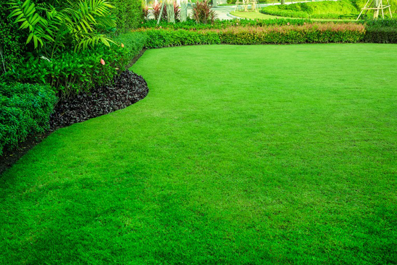 Affordable Marshall lawn care in TX near 75670