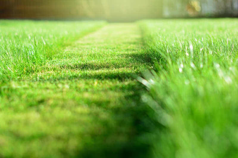 Top Rated Marshall lawn care services in TX near 75670