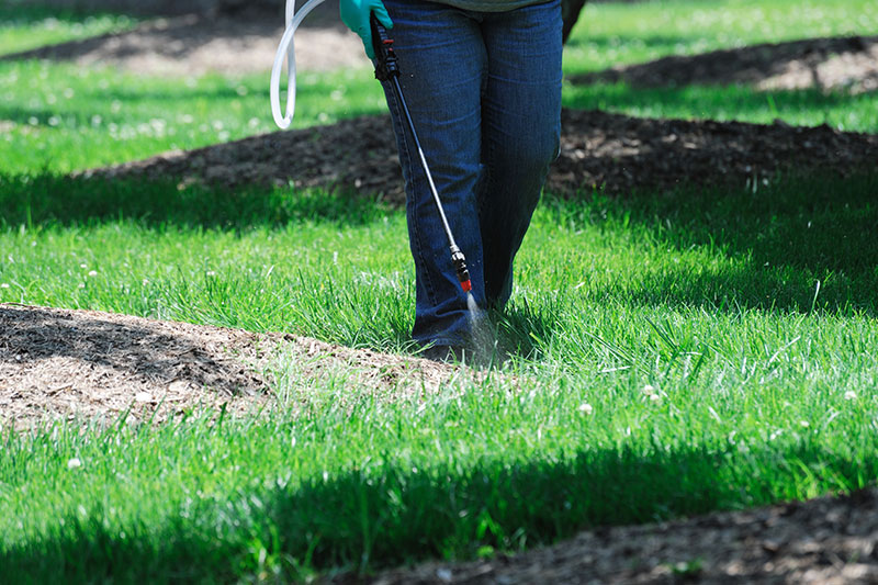 Vegetation-Control-Longview-TX