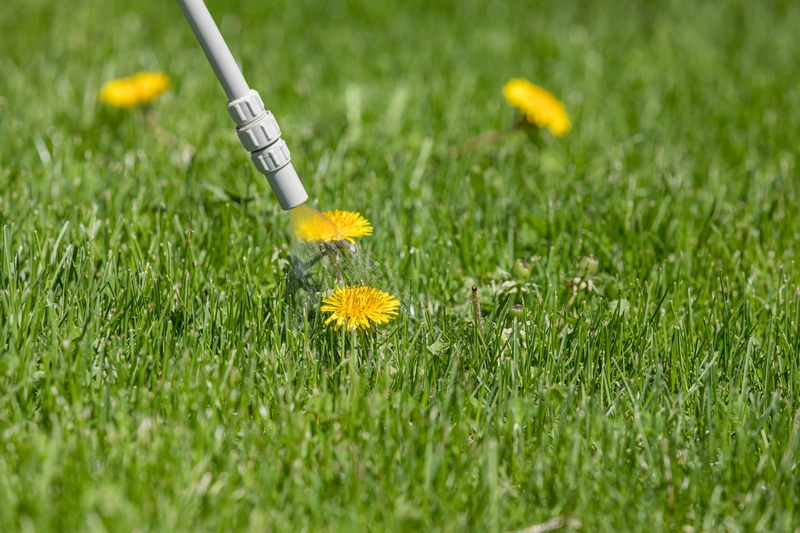 Weed-Control-Longview-TX