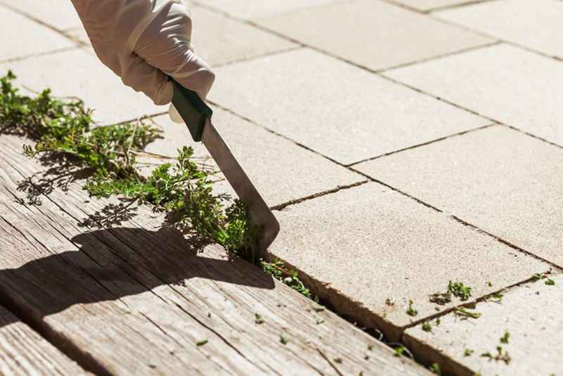 Affordable Hallsville weed removal services in TX near 75650